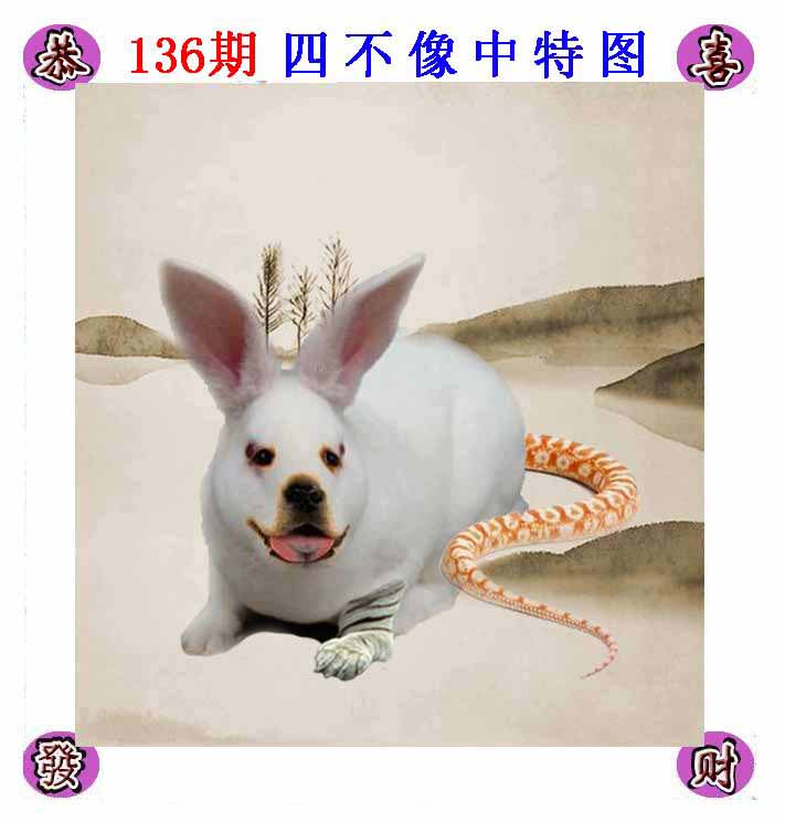 更新中